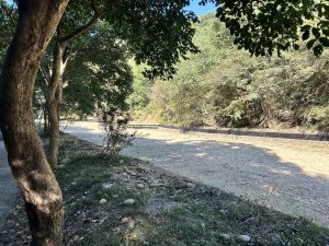 坑內坑森林步道