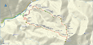 南松鶴八仙松鶴