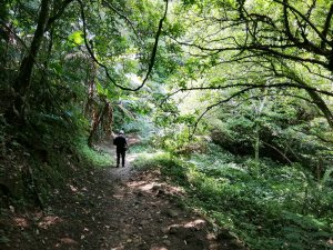 【新竹。峨眉】步道悠閒走。 獅頭山風景區~六寮古道