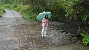 古魯林道登山健行趣