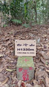 谷關三雌之“白冷山”
