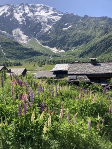 [TMB] D1 Les Houches - Col de Tricot - Les Contamines