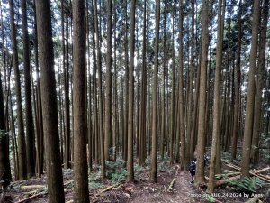 民都有山就是漂亮的夏天冷氣房