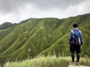 宜蘭~抹茶山