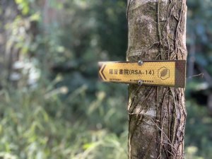 拋開日常，擁抱荒野：探索「通徑徒步」（Thru-hiking）