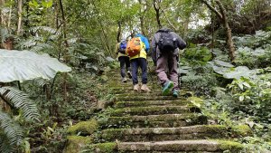 #台北狗殷勤古道#坪頂古圳登峰圳步道#20230216