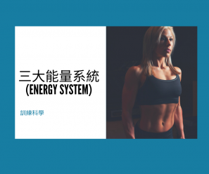 【訓練科學】三大能量系統(Energy System)