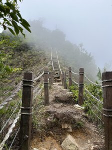 白毛山