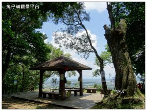 林內/龍過脈森林步道