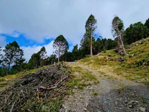 三星山-小百岳#85-宜蘭縣大同鄉