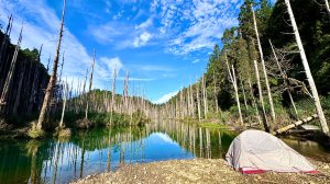 水漾森林+瞑月神木