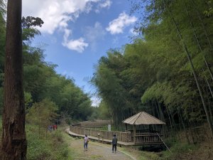 雲林石壁東碧山莊走木馬古道、五元二角、雲嶺之丘O型路線