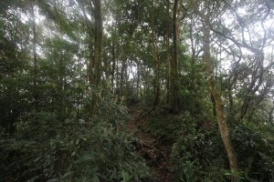 桃園【復興】 志繼山 半日遊