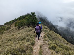 郡大山：坐車比爬山還要累的入門百岳