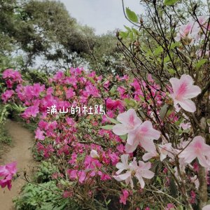 0301台北大縱走第六段
