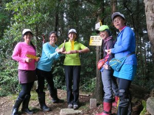 樂山林道、鹿坑山、南比林山、比林山、大窩山縱走（五峰天際線：