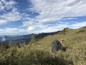 大縱走最難的一段 草山摩即探勘路，此生絕對不再來！