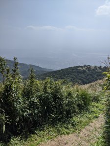 【山系野遊】大屯主峰步道 - 火山群遊