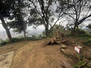 為什麼有些人爬山會抽筋與簡易處理方式