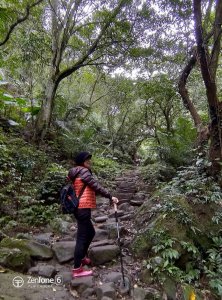 尋幽訪勝∥鳴鳳山古道群O型之旅