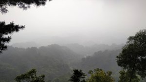 大坑四號步道（頭嵙山）