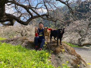 風櫃斗.牛稠坑.二坪山古道【遙知不是雪，為有暗香來】