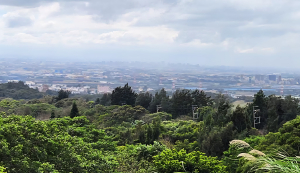大古山登山步道公園，大古路櫻花大道