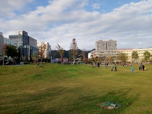 闔家歡樂的內湖大港墘公園【齊心鞋力向前走】