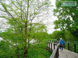 【新竹】峨眉湖步道-富興茶葉文化館