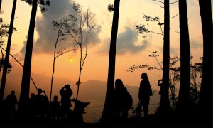 【路線】夏日來去太平山、觀霧、大雪山避暑，與步道規劃師一起在山林裡尋路