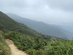 步道巡訪員│聖母登山步道一月巡訪