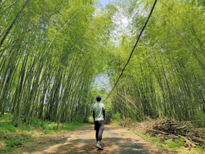 2025-009：三峽動物縱走九連峰