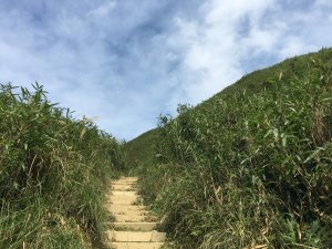 【溫泉步道小旅行】聖母登山步道+礁溪春風溫泉