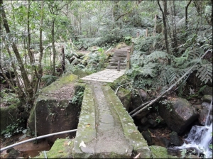 【新北市】五指山古道、重柔橋