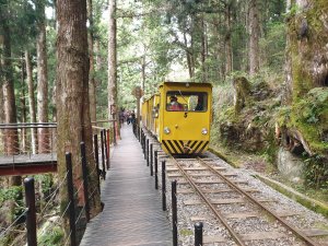 太平山森林遊樂區