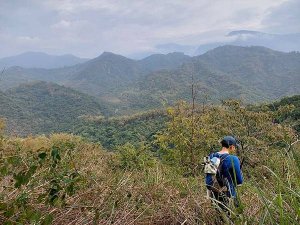 美濃雙溪母樹林上九芎林山走茶頂山(九茶稜線、九茶縱走)