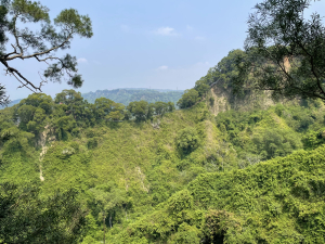 春日郊遊稜線好風光：田中大小劍山、赤水崎公園步道、田中森林登山步道南和北線