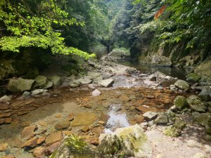 登加里山順訪加里山東南峰與風美溪涉水體驗