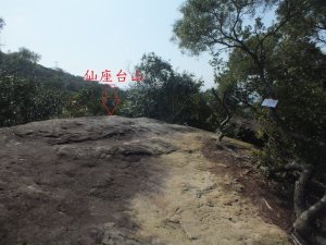 仙座台山、大崙尾山西峰、東南峰、東北峰、東峰、大崙尾山O型步道