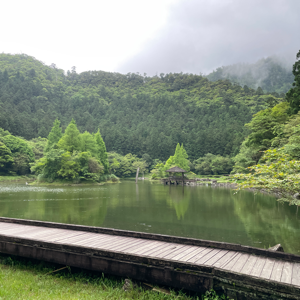 肥肥地安豬豬的頭像