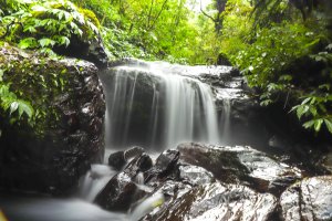抹茶山-聖母登山步道-宜蘭五峰旗風景區，如果以為只有抹茶山景那就錯了，瀑布、沿溪美景、一路陪伴您直上聖母山莊
