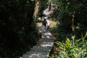 【步道介紹】迎世壯運輕健行｜城市中的登山迷宮，探索仙跡岩──台北南端篇