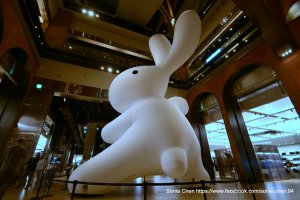 兔兔迷 看過來 2023 D0926 YES ! LIFE 「新店裕隆城」  「太極尼尼」