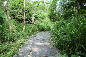 玉龍泉生態步道