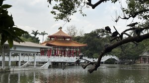 台南一日散策、尋找陽光與記憶的痕跡