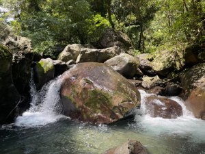 烏來加九寮溪-卡拉莫基清幽小秘境/釣魚💙