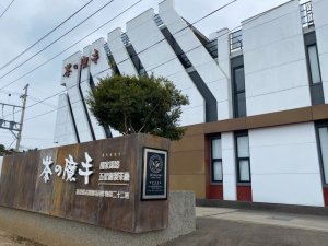 南投名間-松柏坑山-小百岳051