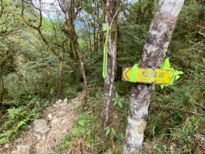 20240419-20松羅湖二天一夜