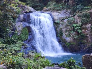 新北烏來｜內洞國家森林遊樂區步道群