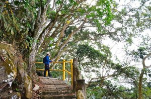 【嘉義】有爬有保庇--半天岩三寶連峰縱走含紫雲寺祈福步道.三寶山步道.賞茄苳巨木